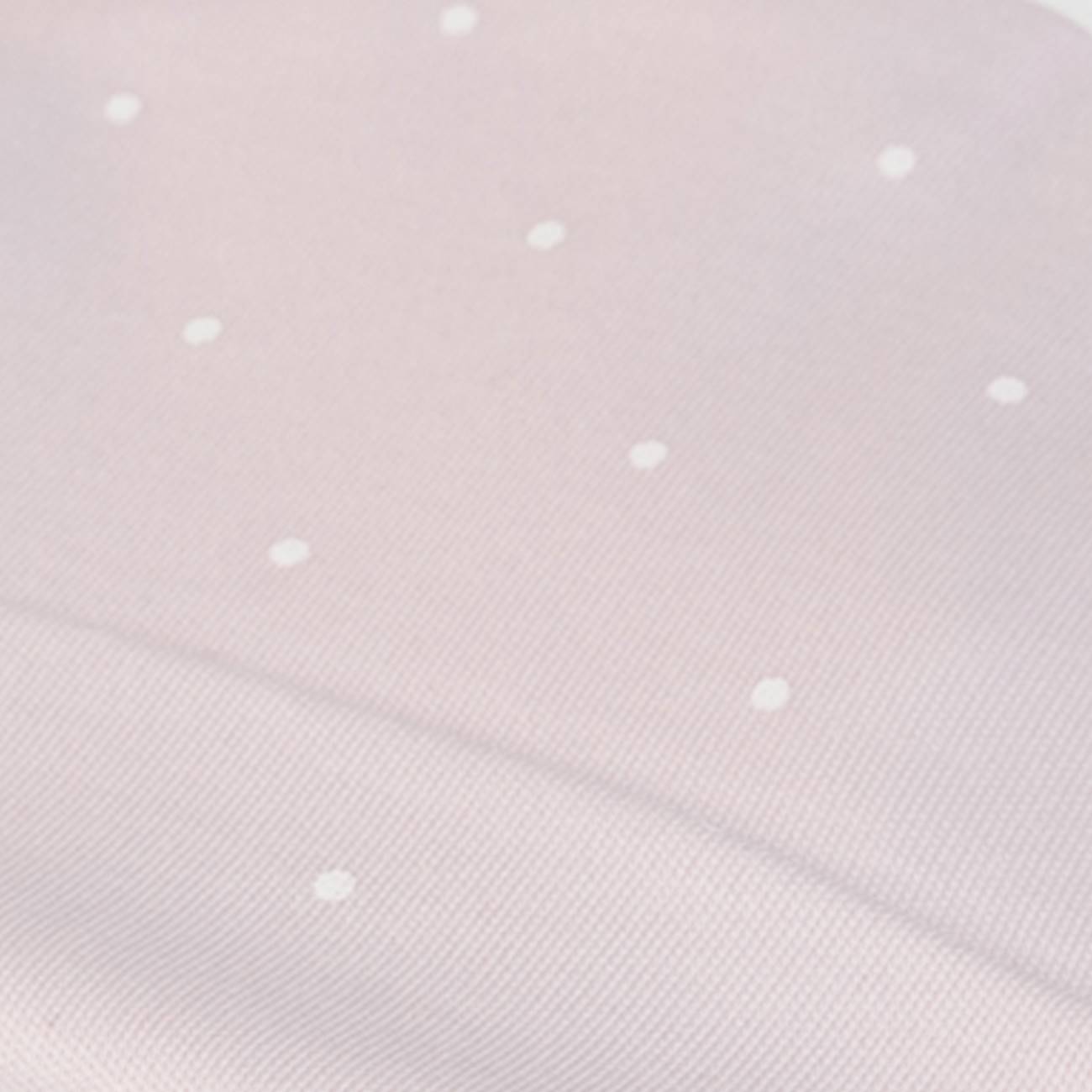 Welcome Home Box – Deer Edition