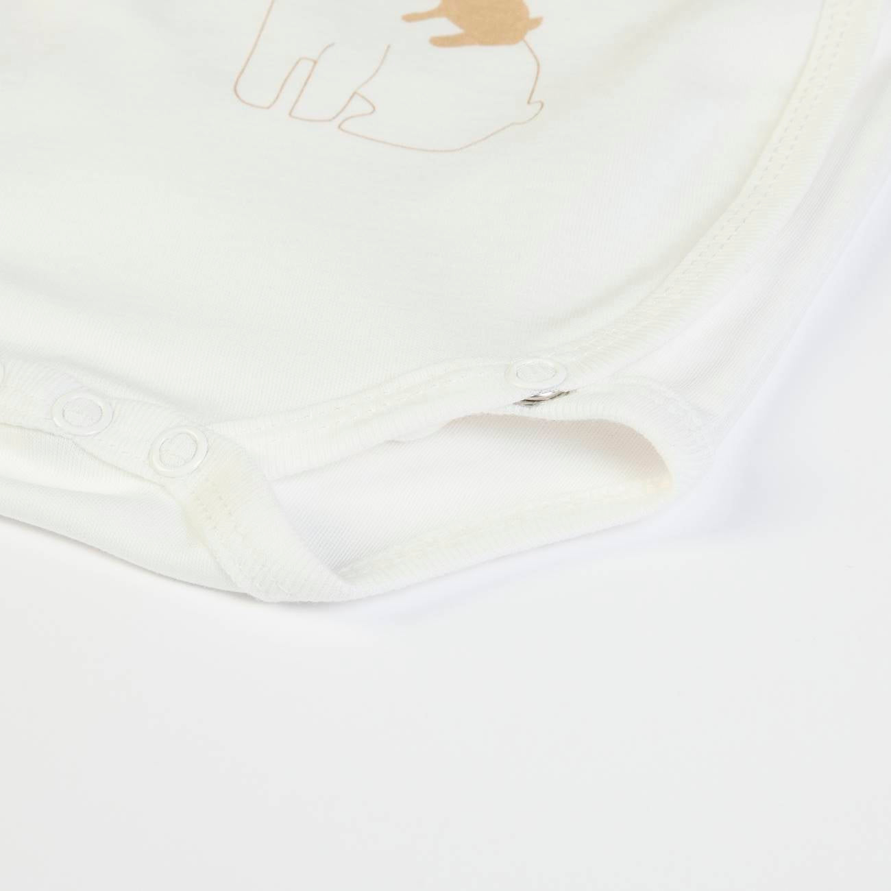 Welcome Home Box – Bear Edition