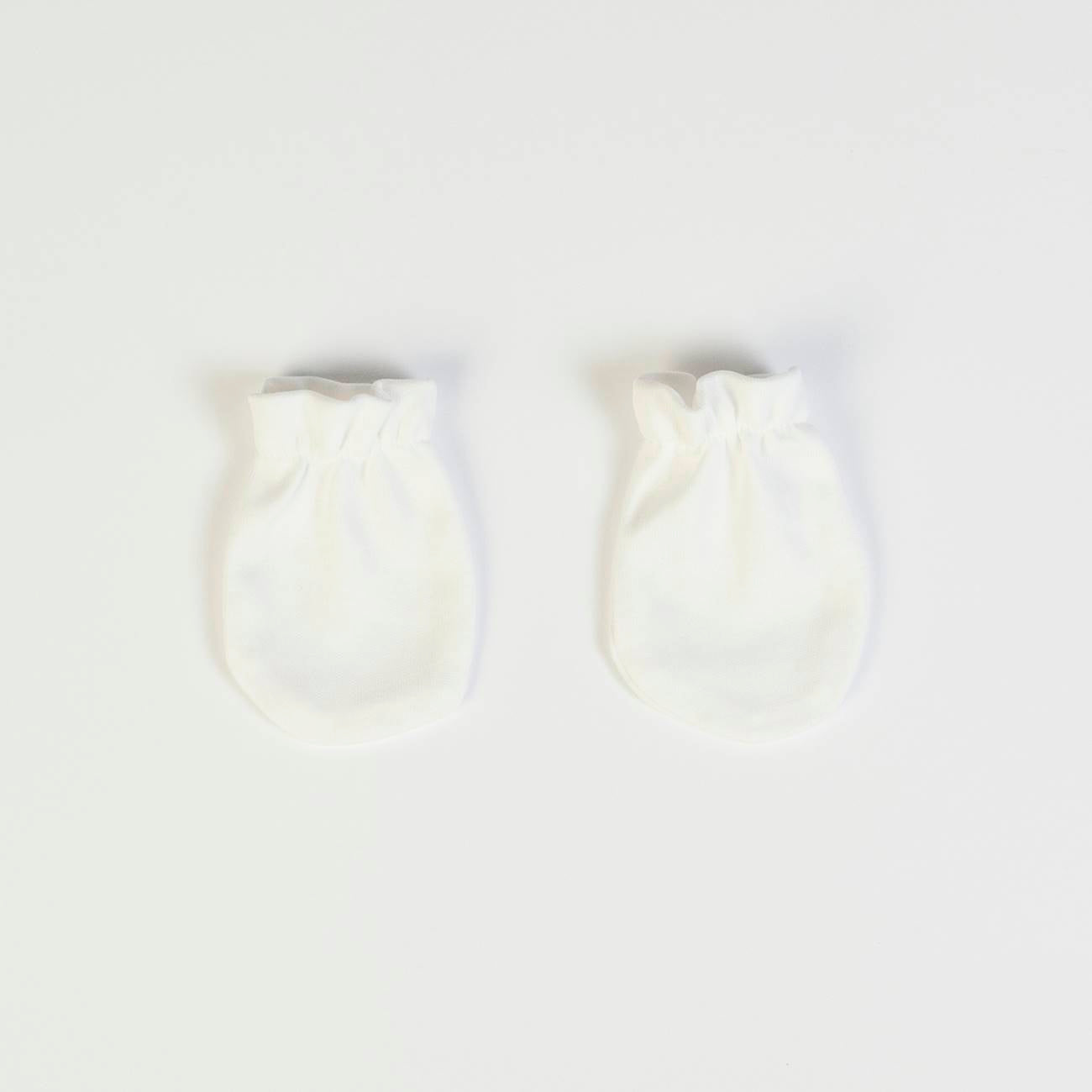 Welcome Home Box – Bear Edition