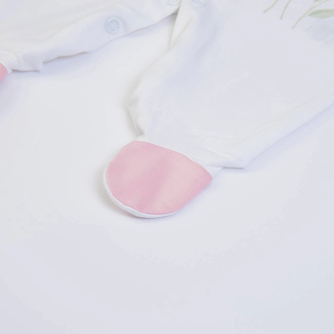 Hello Little Butterfly