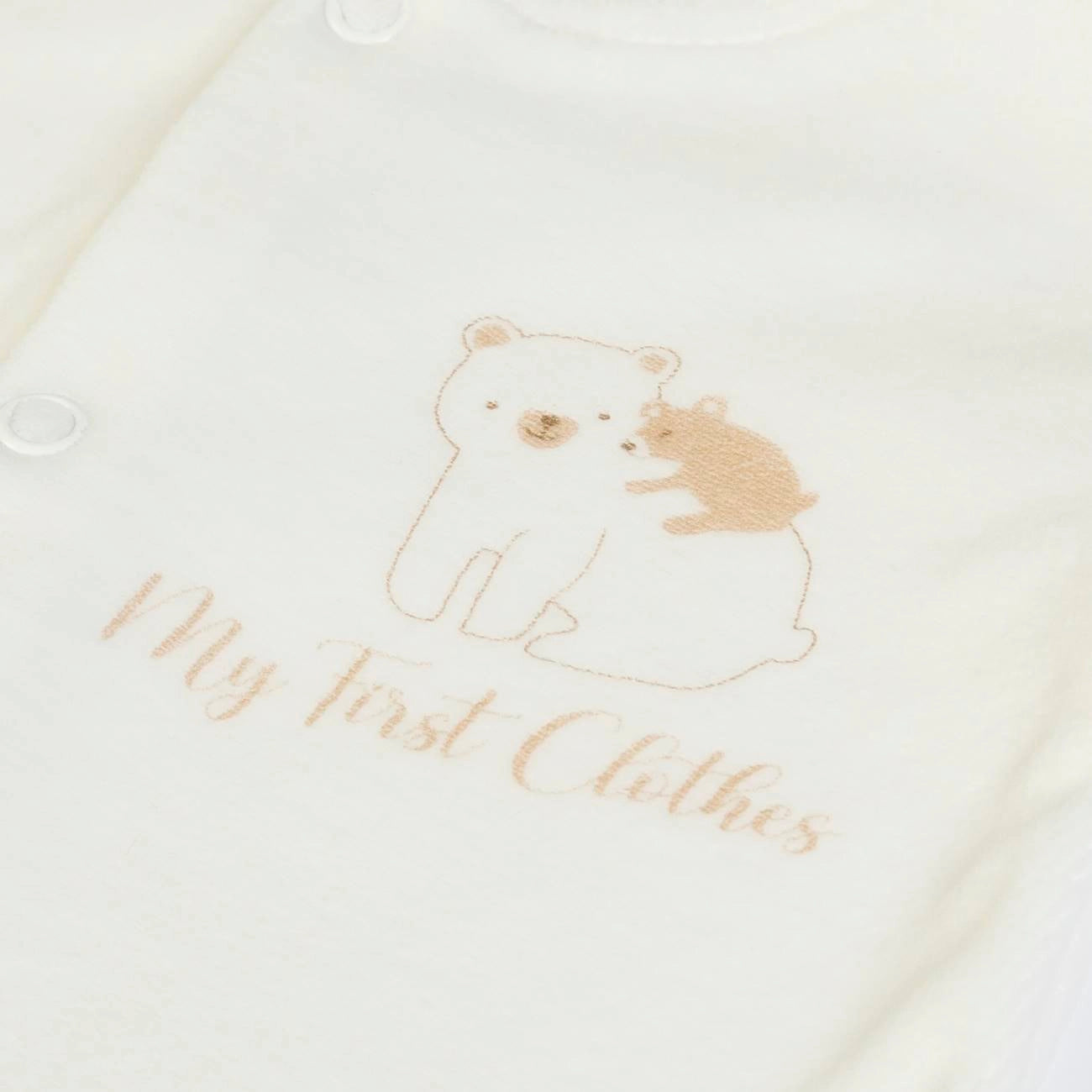 Welcome Home Box – Bear Edition