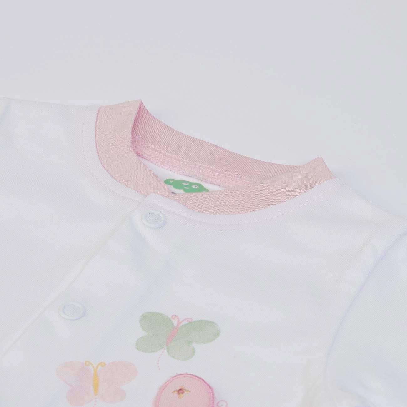 Hello Little Butterfly