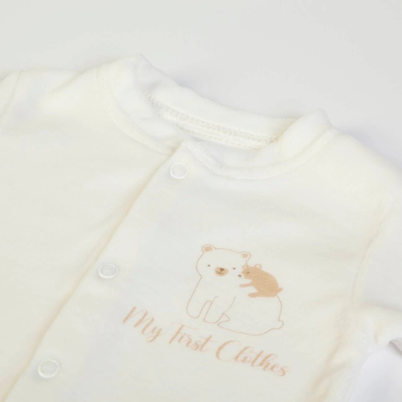 Welcome Home Box – Bear Edition